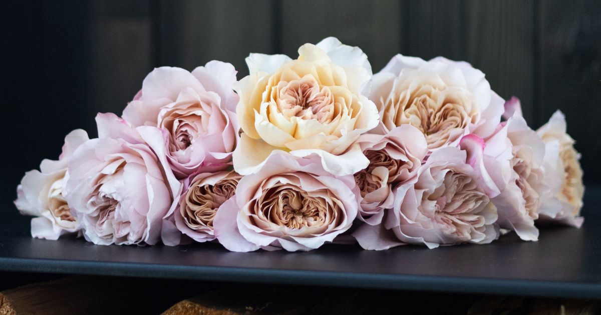 Miyabi Brown Roses | Bouquet Of Roses | Send Fresh Flowers