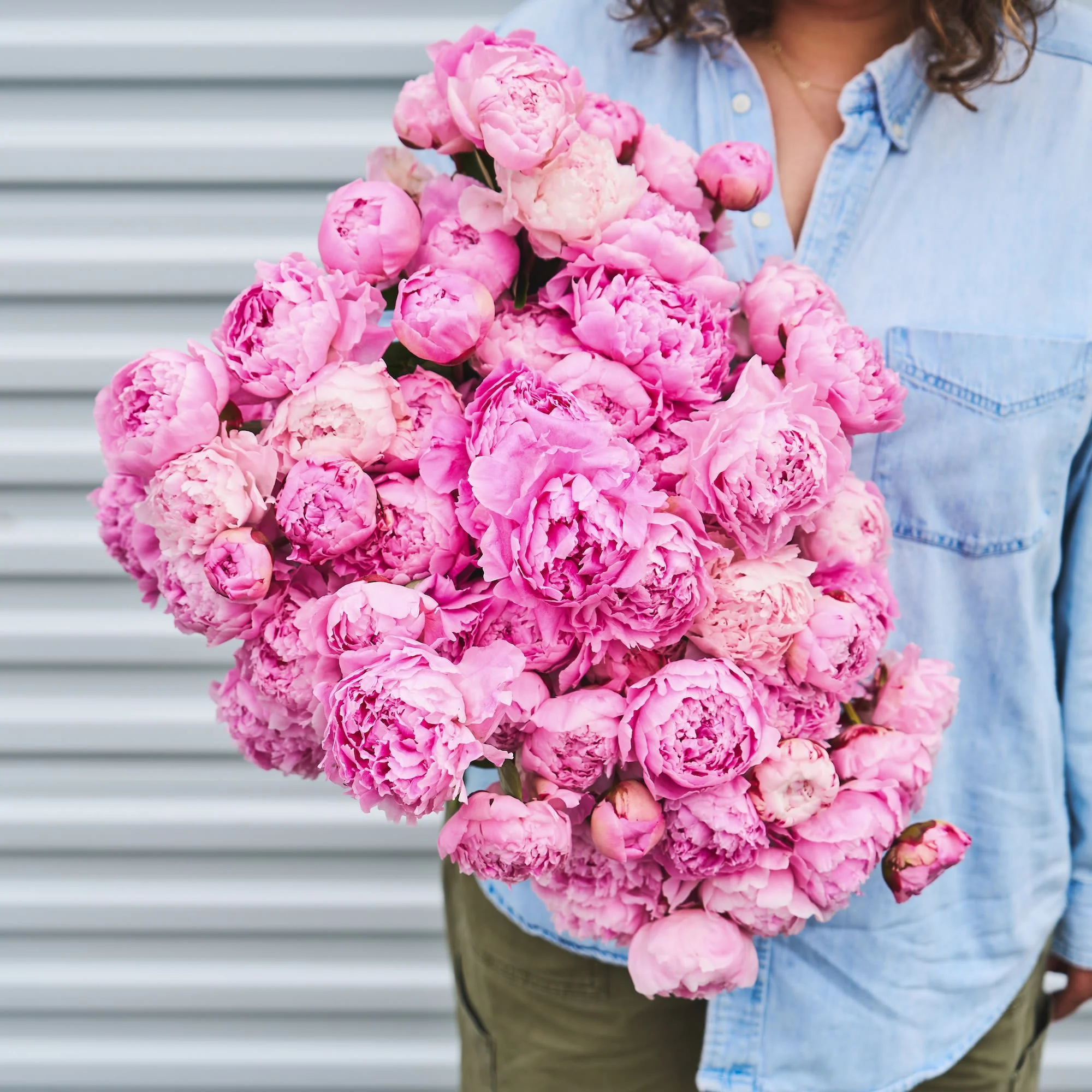 The Most Peonies!
