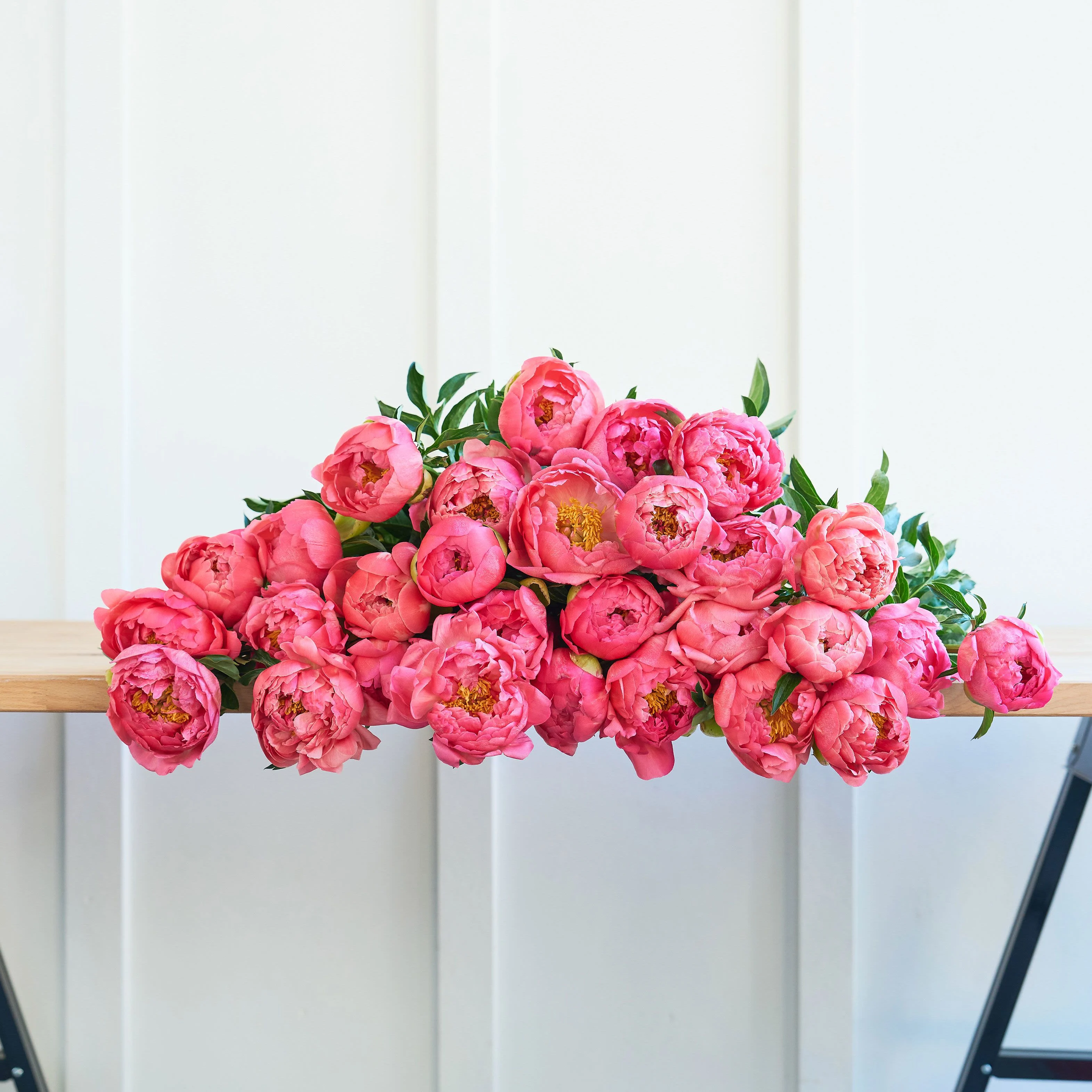 An Abundance of Peonies!