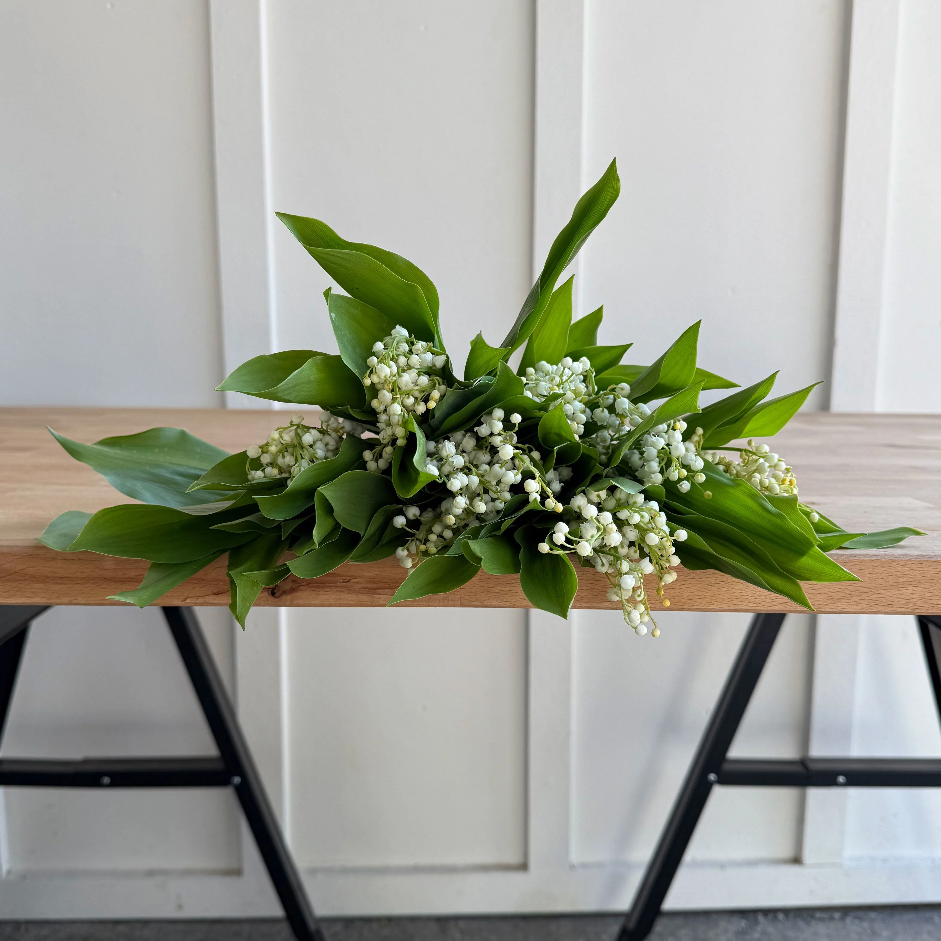 More Lily of the Valley!