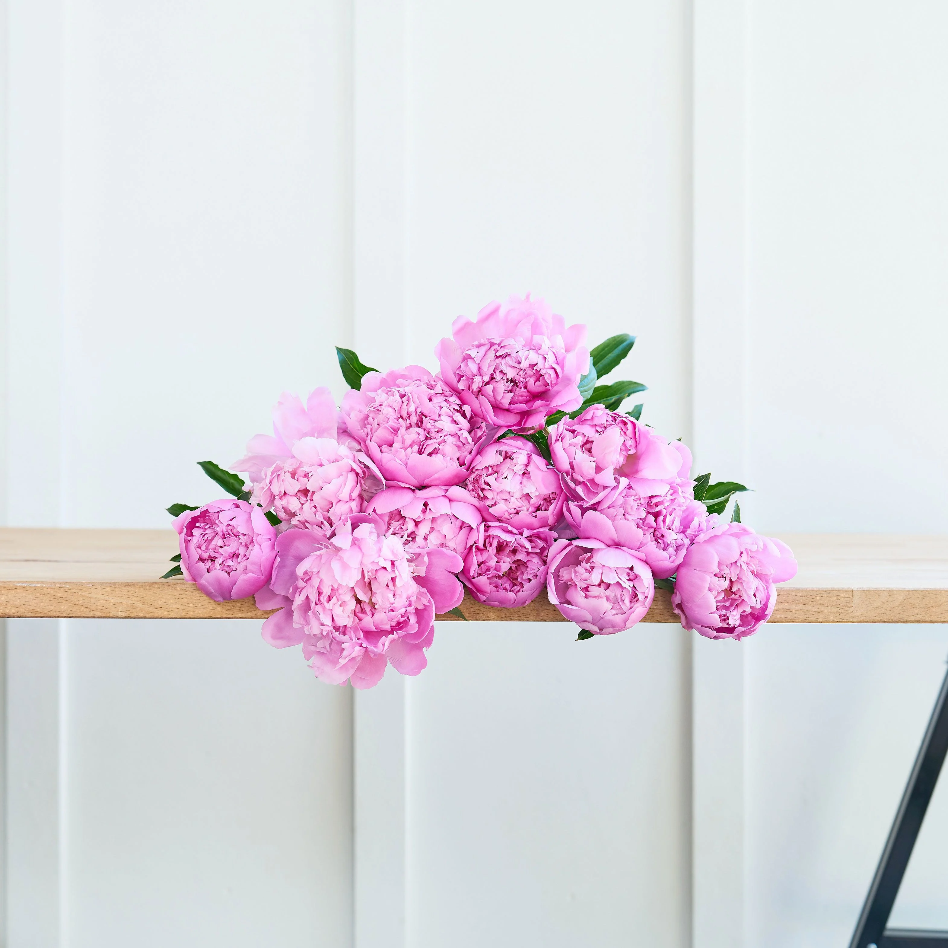 Peonies, Please!