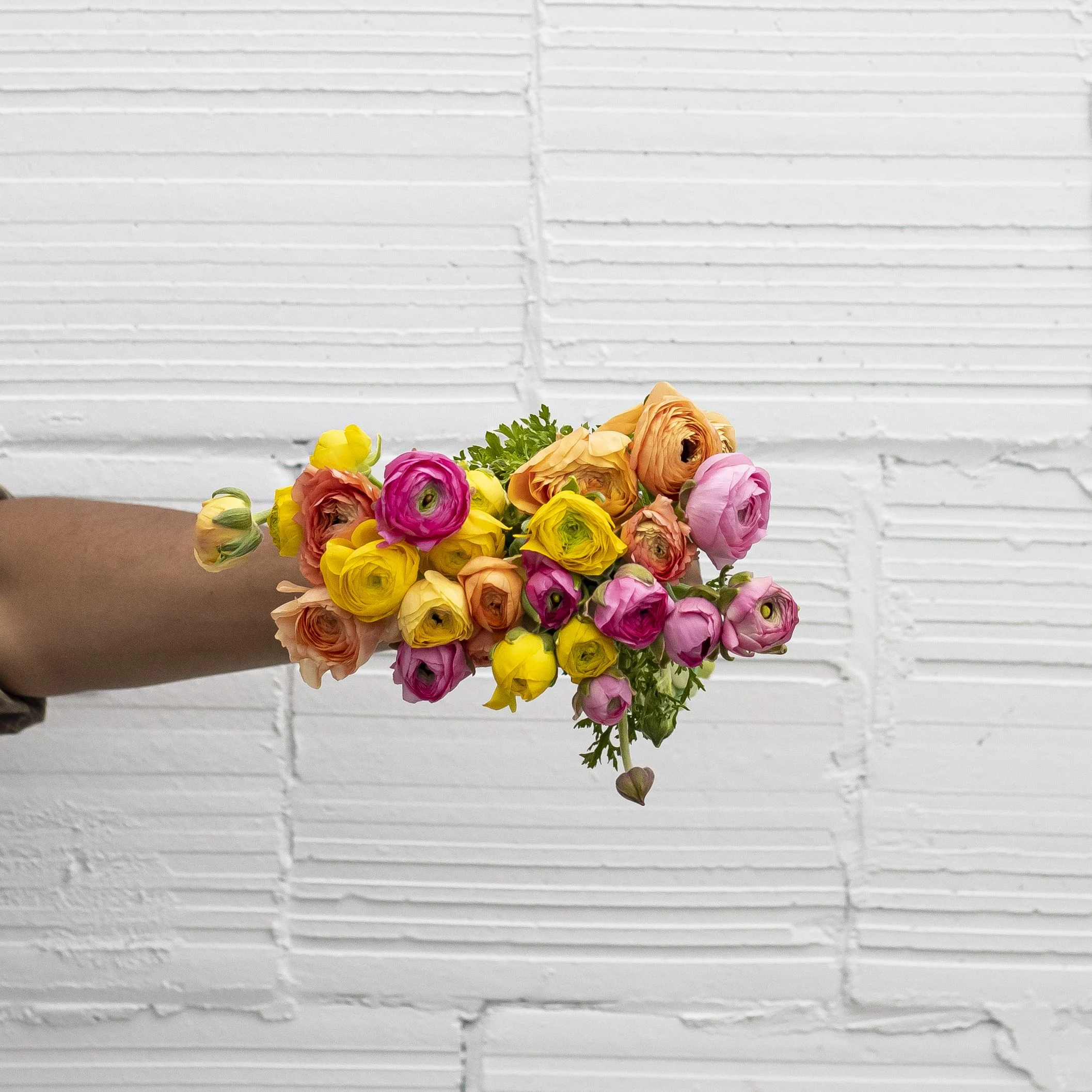 Mystery Box: 25 CA-Grown Ranunculus!
