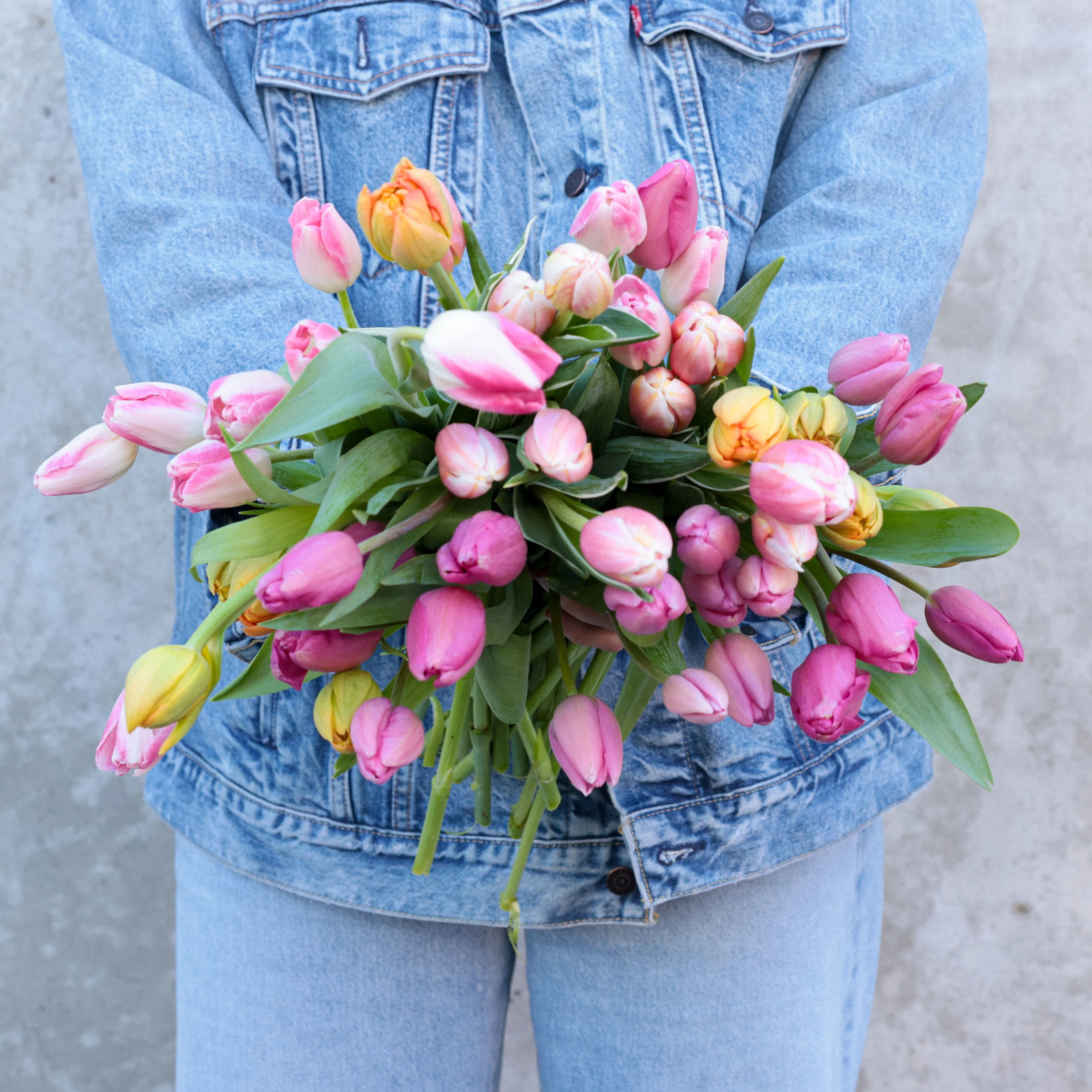 Double Dutch: 50 Stems of Tulips!