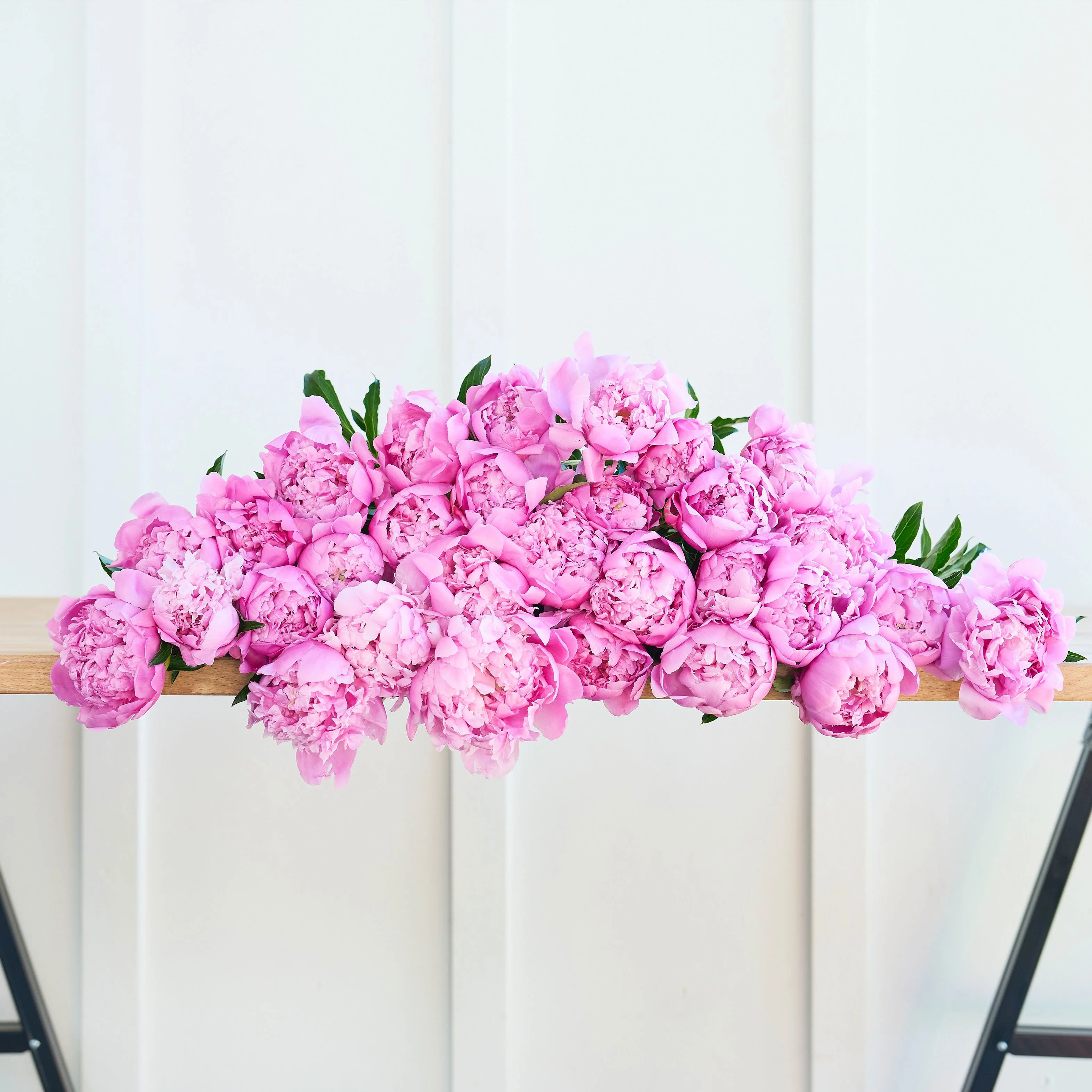 Peonies, Pretty Please!