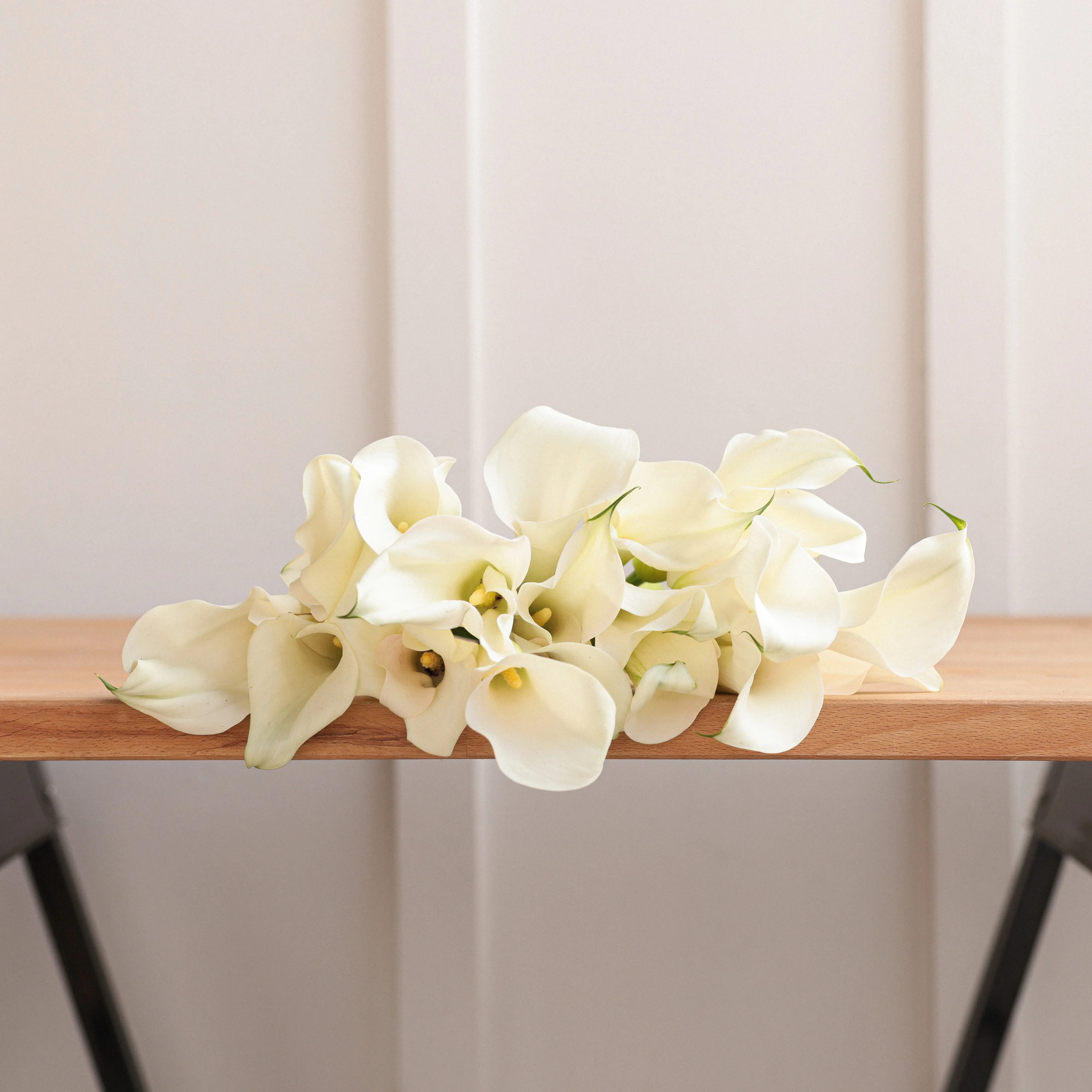White Callas