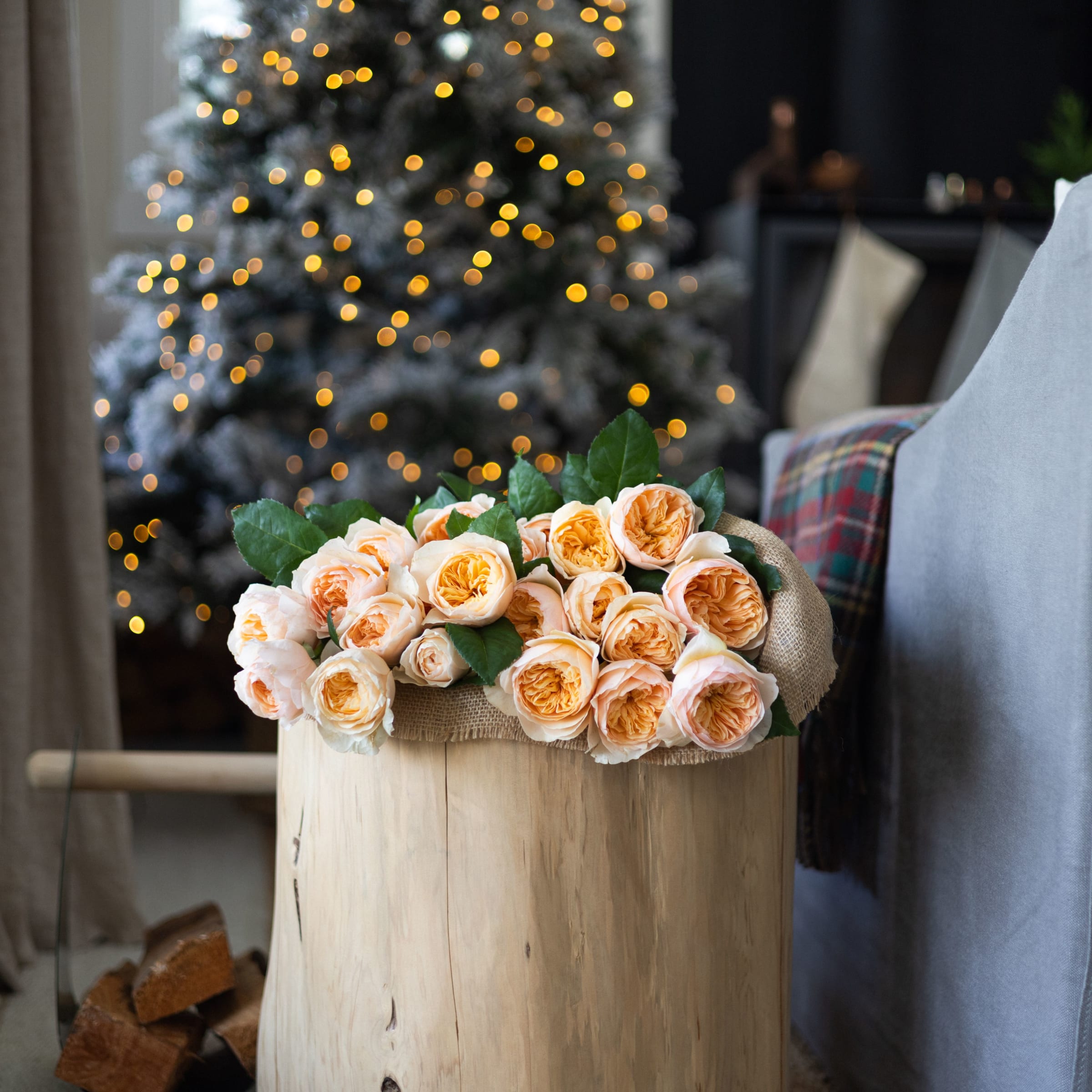 image of EXTRA BUTTERCREAM HOLIDAY 1.jpg