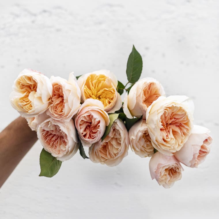 Next deals day flowers