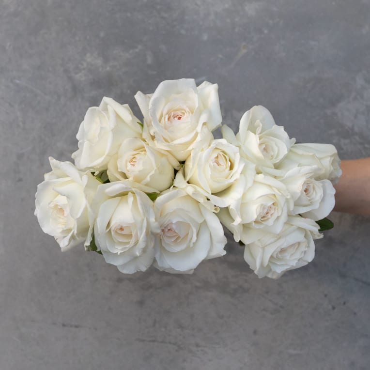 Send Garden Roses | Fresh Flower Delivery | Farmgirl Flowers