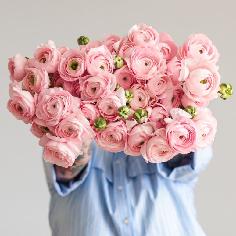 Christina's Favorite Specialty Ranunculus x2!