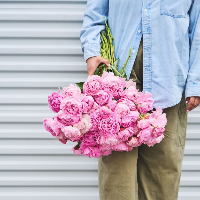 Even More Peonies!