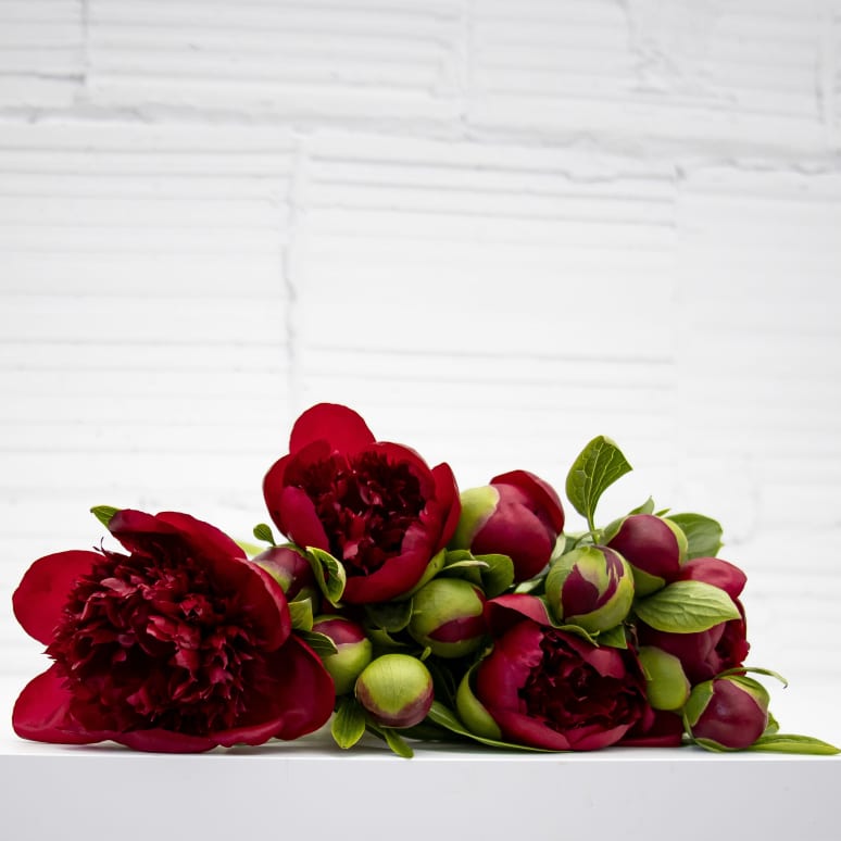 Peonies!