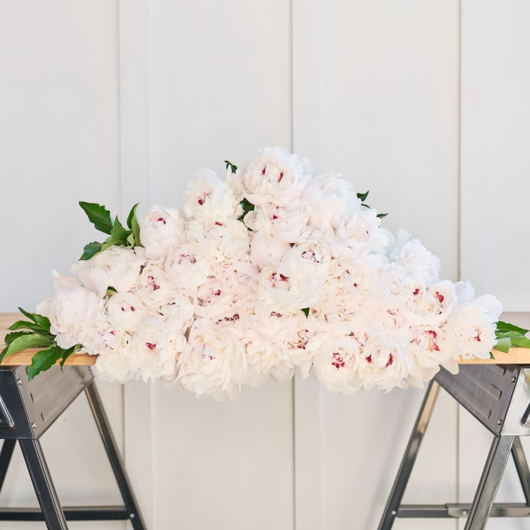 Even More Peonies!