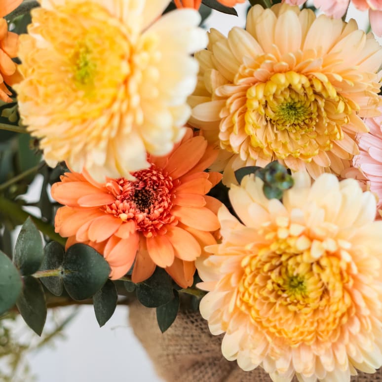 With Heart: Every Mother Counts Daisies