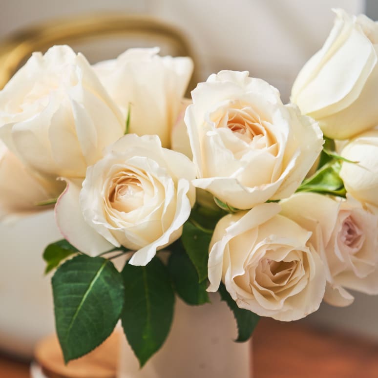 Grower's Choice Garden Roses!
