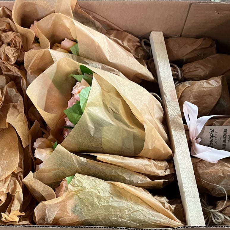 Big Box: Specialty Garden Roses