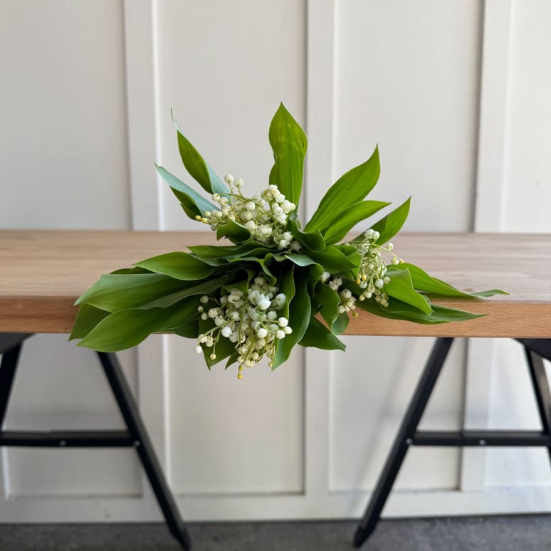 Lily of the Valley!
