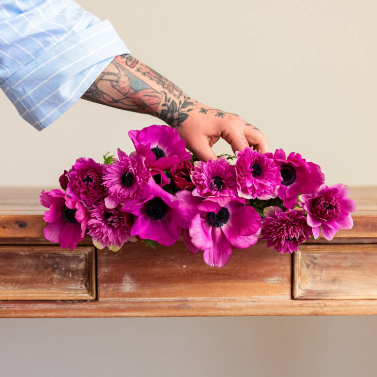 Grower's Choice Anemones!