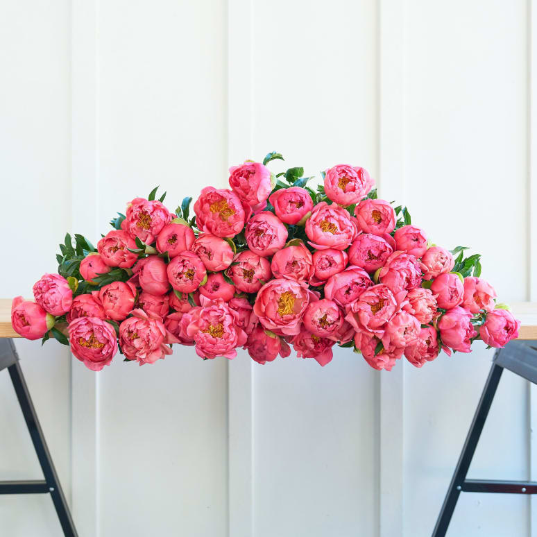 The Most Peonies!