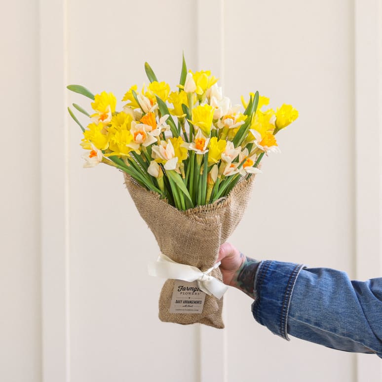 Gold You So: 50 Daffodils!