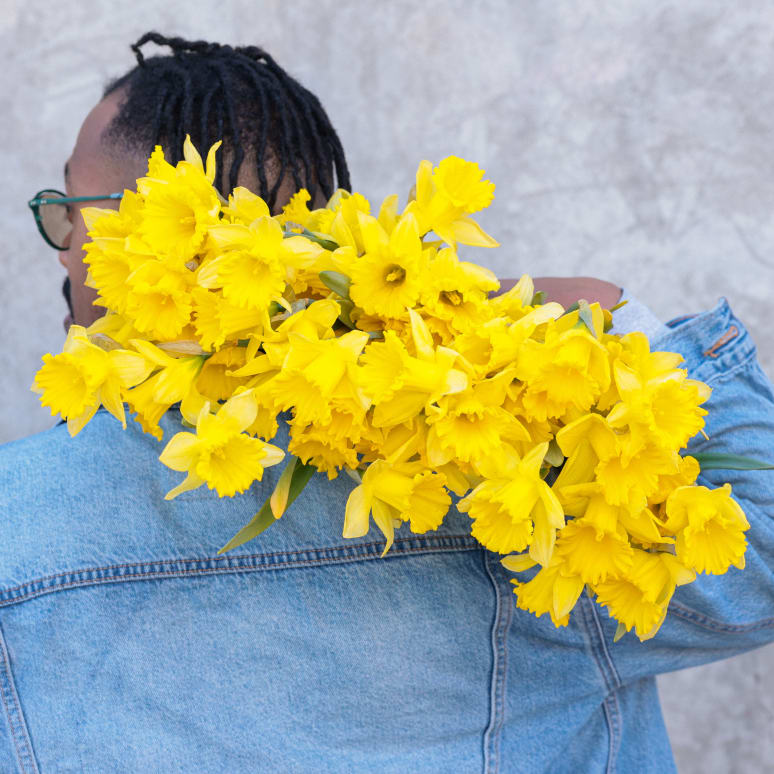 Gold You So: 50 Daffodils!