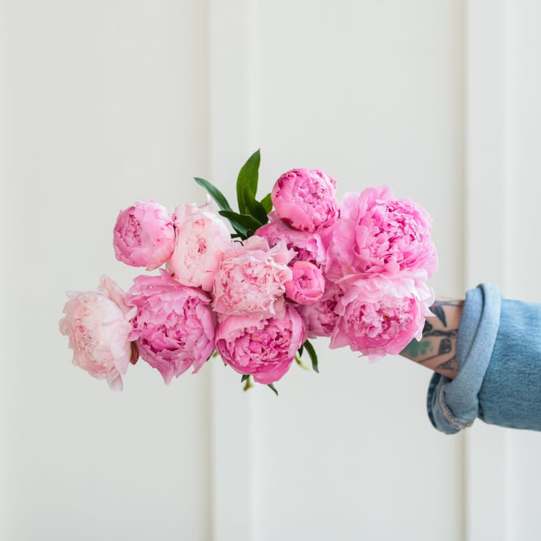 Peonies!