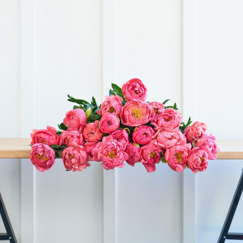 More Peonies!