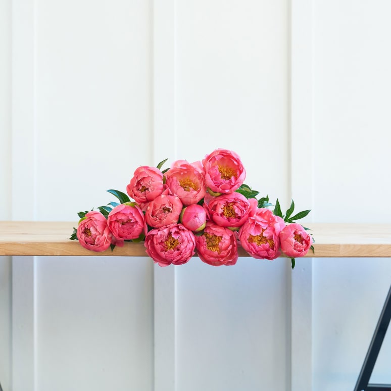 Peonies!