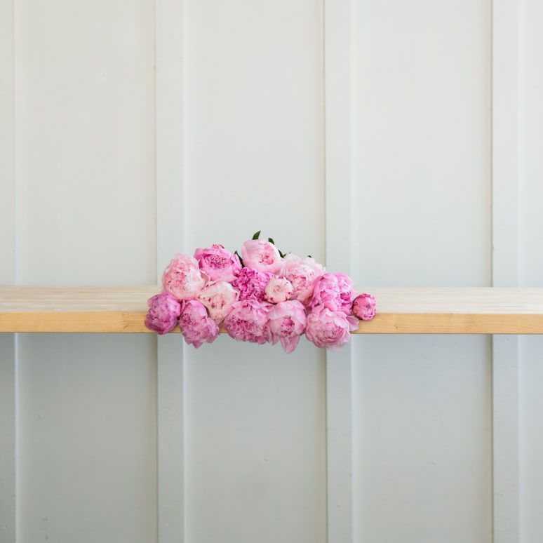 Peonies!