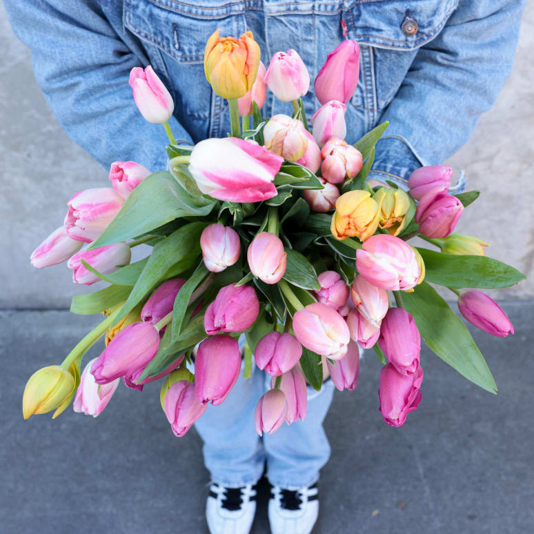 Double Dutch: 50 Stems of Tulips!