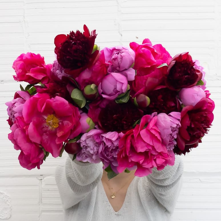 Even More Peonies!