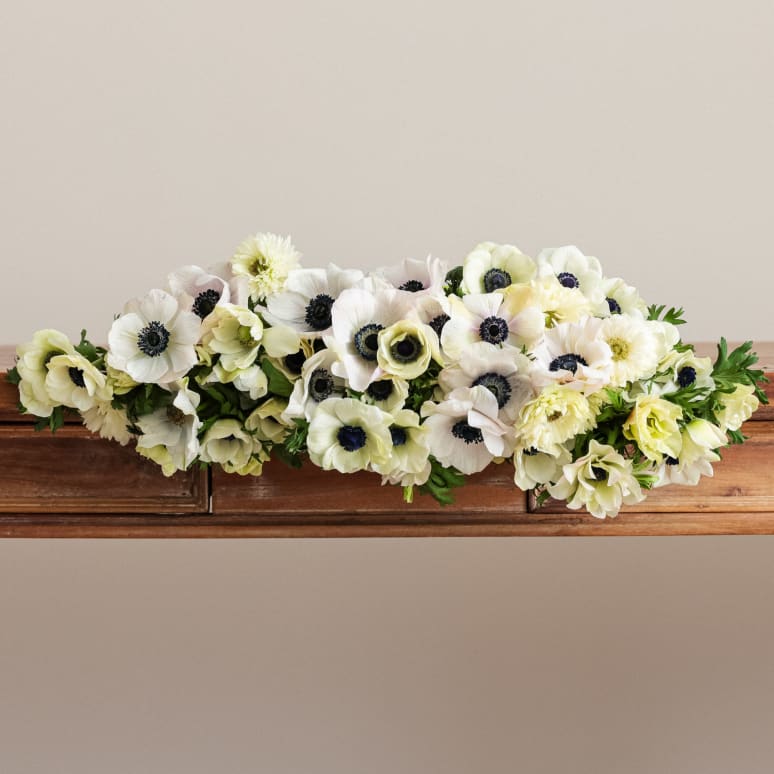 Grower's Choice Anemones x3!