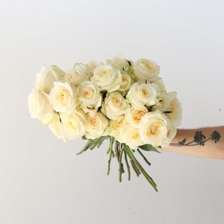 Grower's Choice Garden Roses x 2!