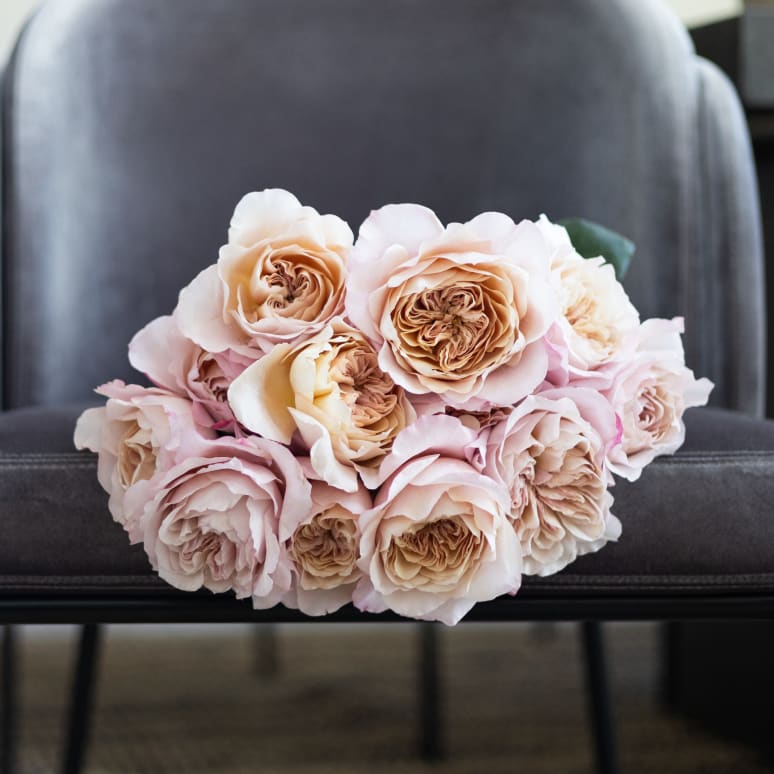 Christina's Favorite Garden Roses