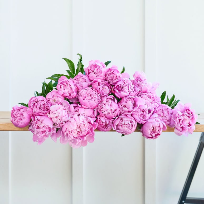 More Peonies!