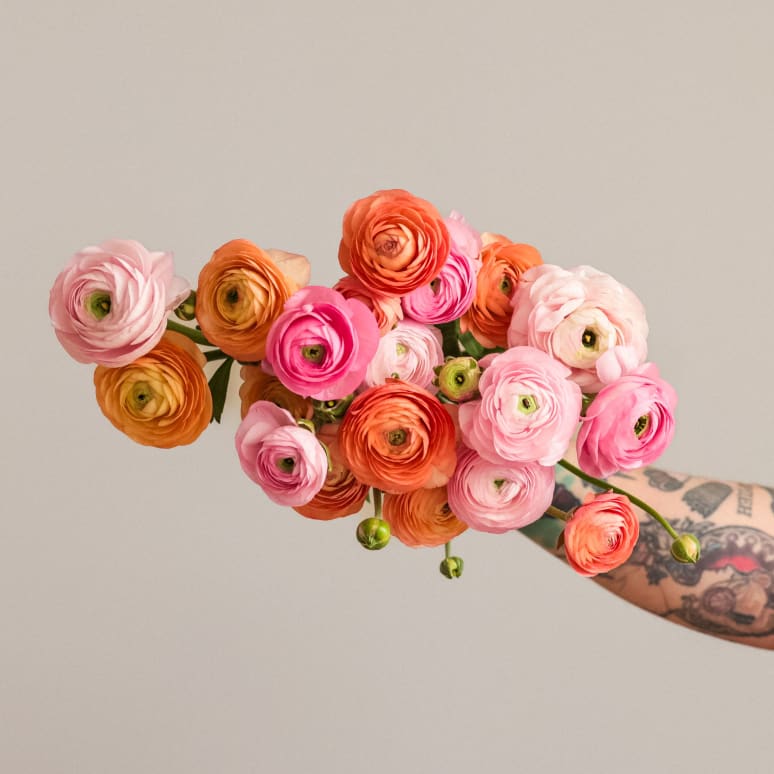 With Heart: Every Mother Counts Ranunculus!