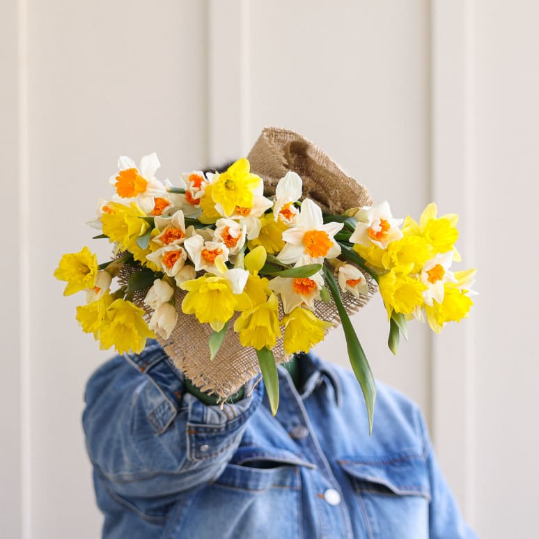 Gold You So: 50 Daffodils!
