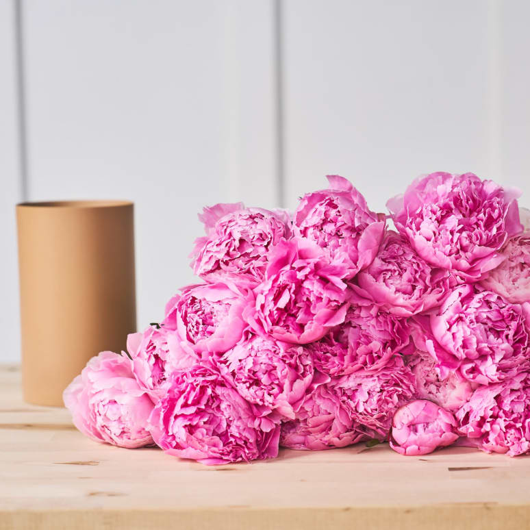 More Peonies!