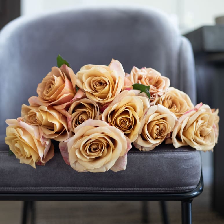 Grower's Choice Garden Roses!