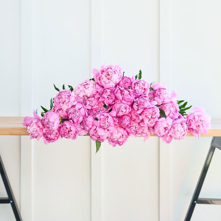 Even More Peonies!