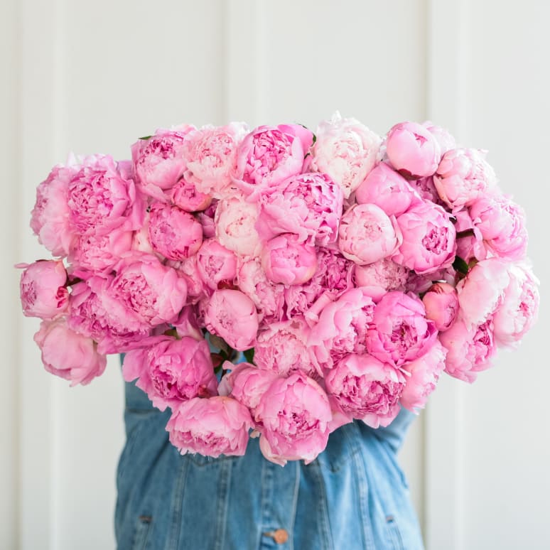 The Most Peonies!
