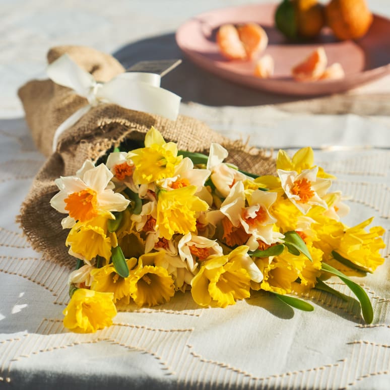 Gold You So: 50 Daffodils!