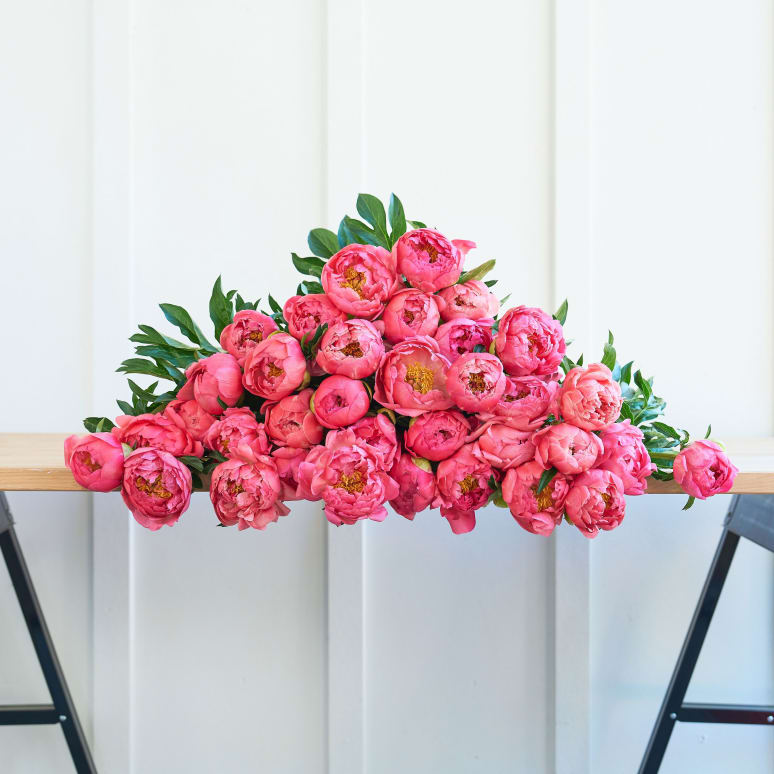 Even More Peonies!