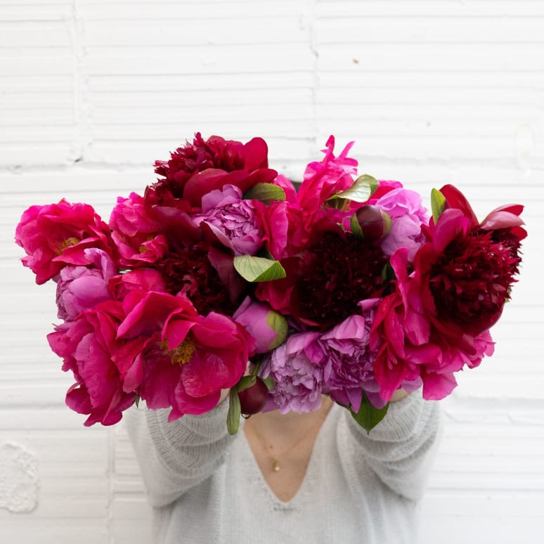 More Peonies!
