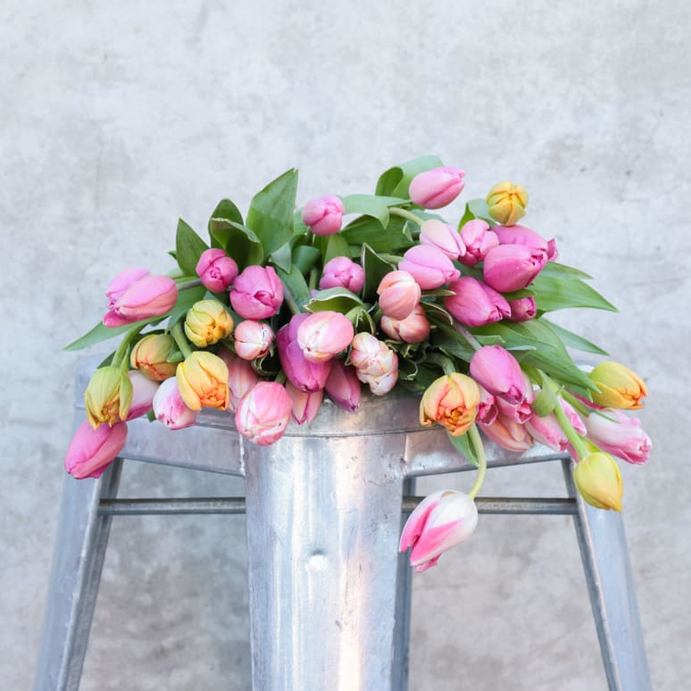 Double Dutch: 50 Stems of Tulips!