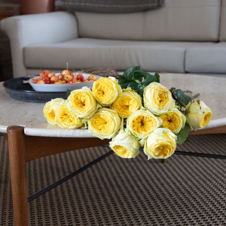 Grower's Choice Garden Roses!