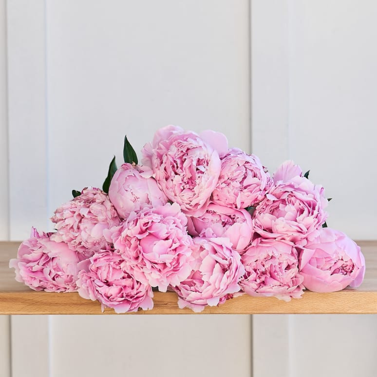 Mystery Box: A Dozen Peonies!