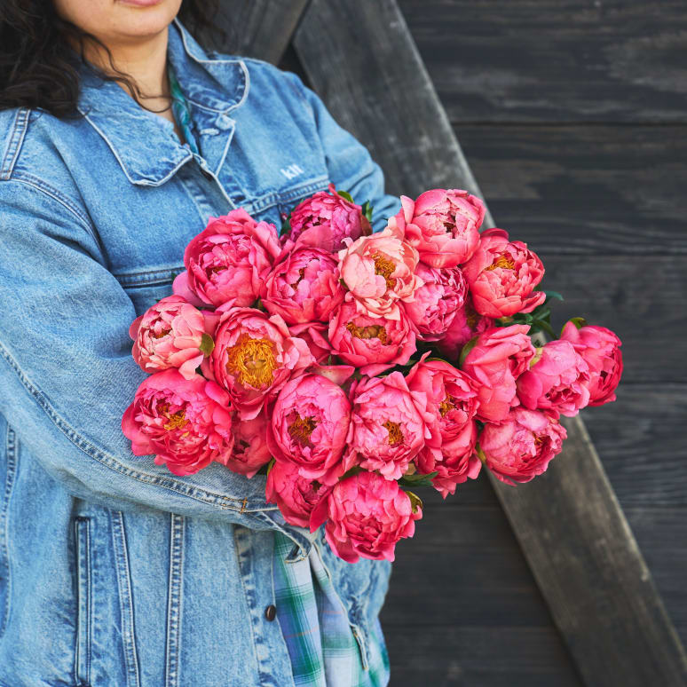 More Peonies!