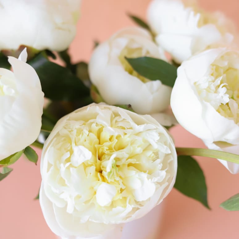 Peonies!