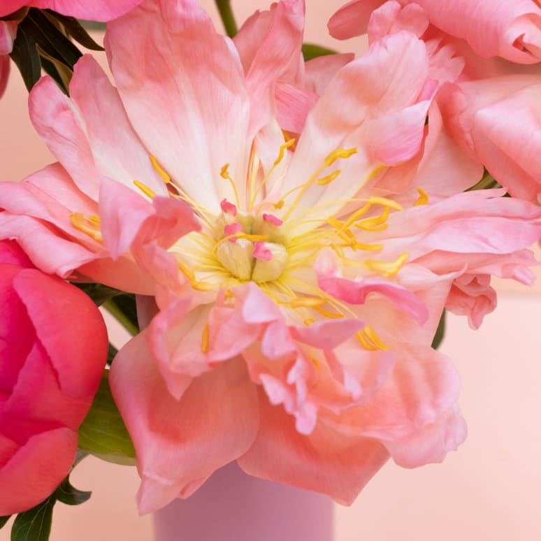 Peonies!
