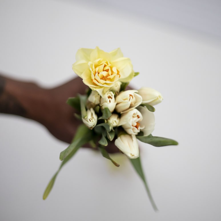 Gold You So: 50 Daffodils!